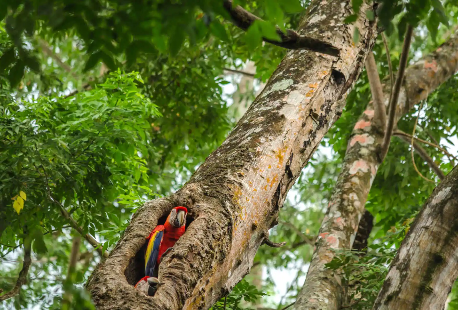 Costa Rica - Circuit Paradis Sauvages en privé