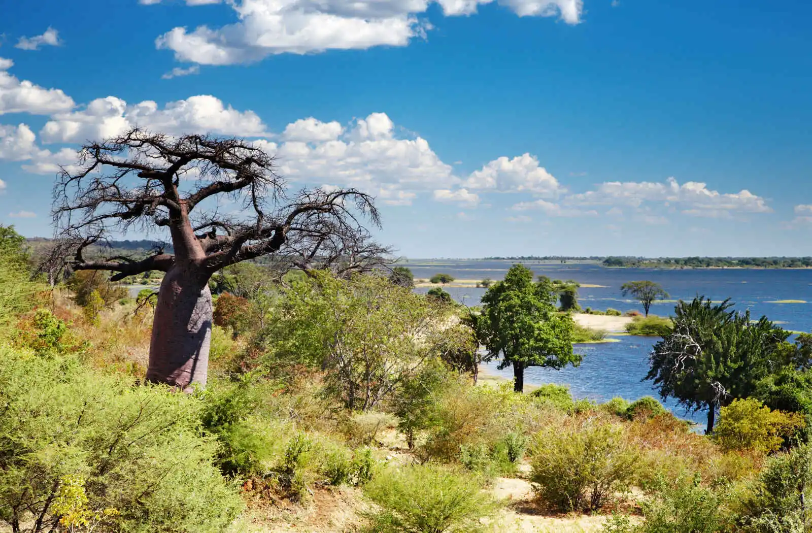 Botswana - Namibie - Zimbabwe - Circuit Sensations en Terre Australe