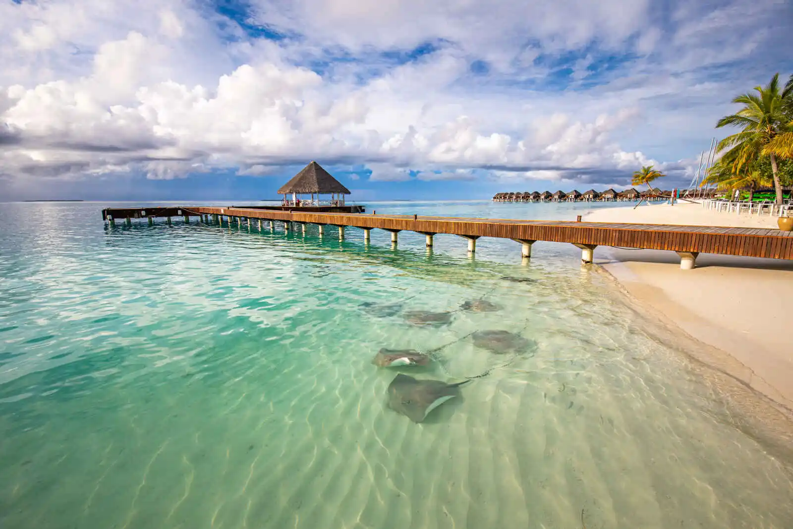 Maldives - Hôtel Sun Siyam Vilu Reef 5*