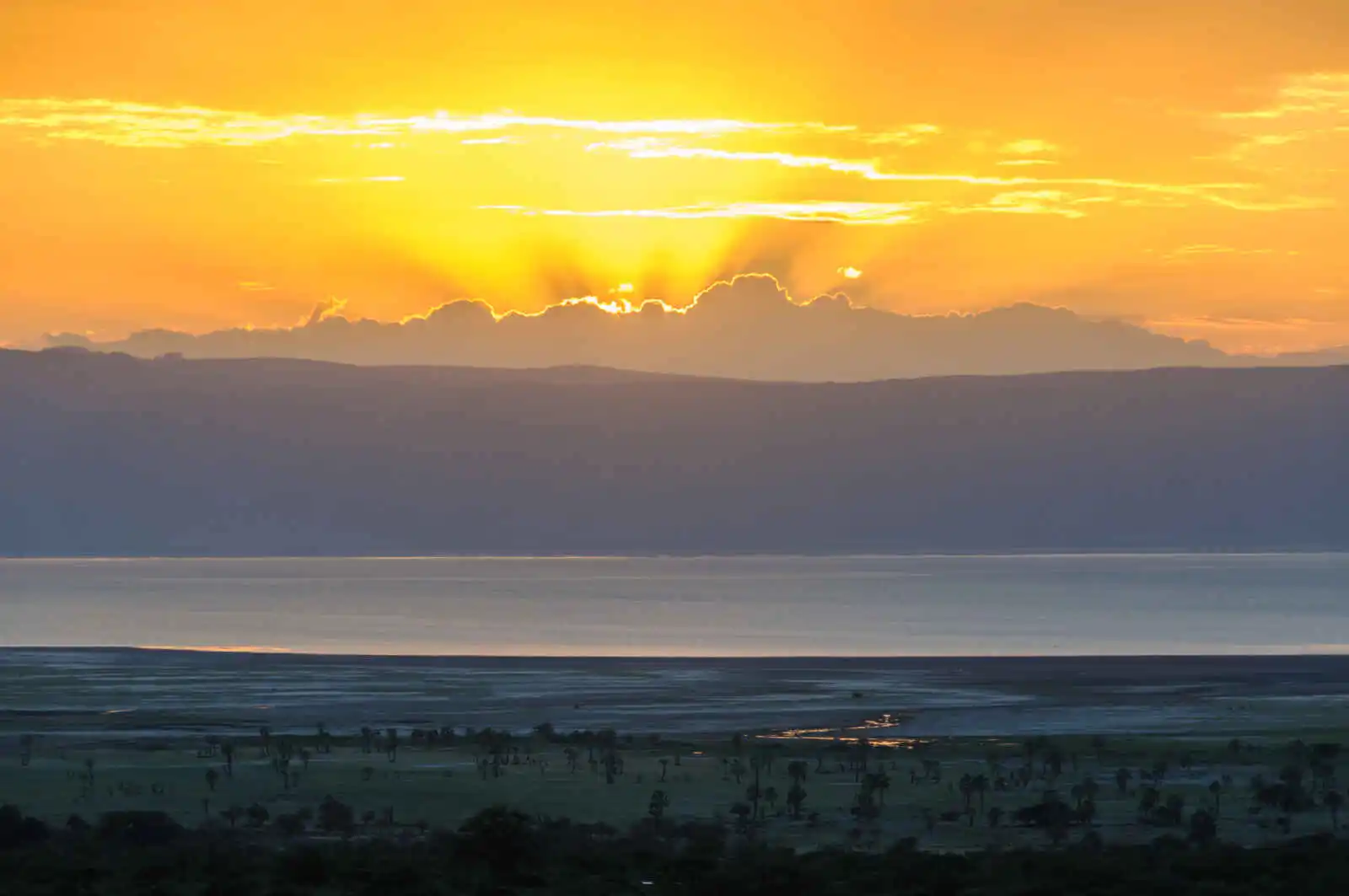 Tanzanie grandeur nature