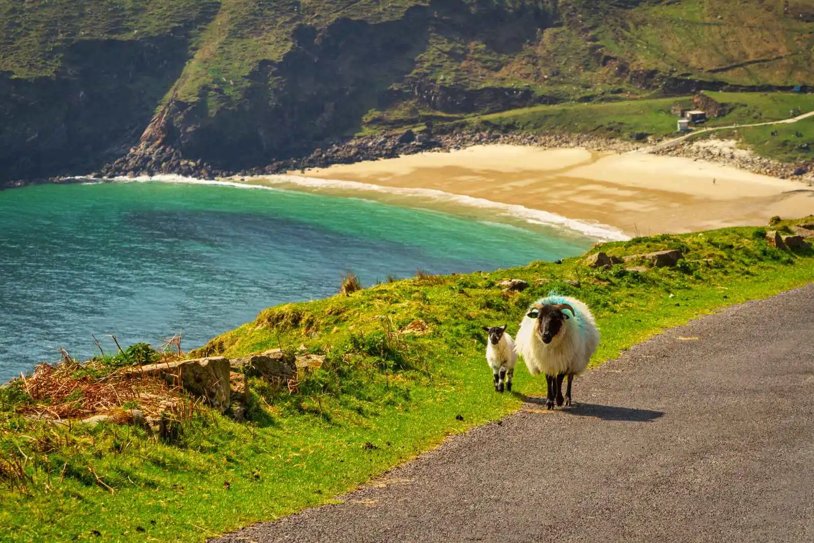 Irlande - Autotour Légende du Connemara