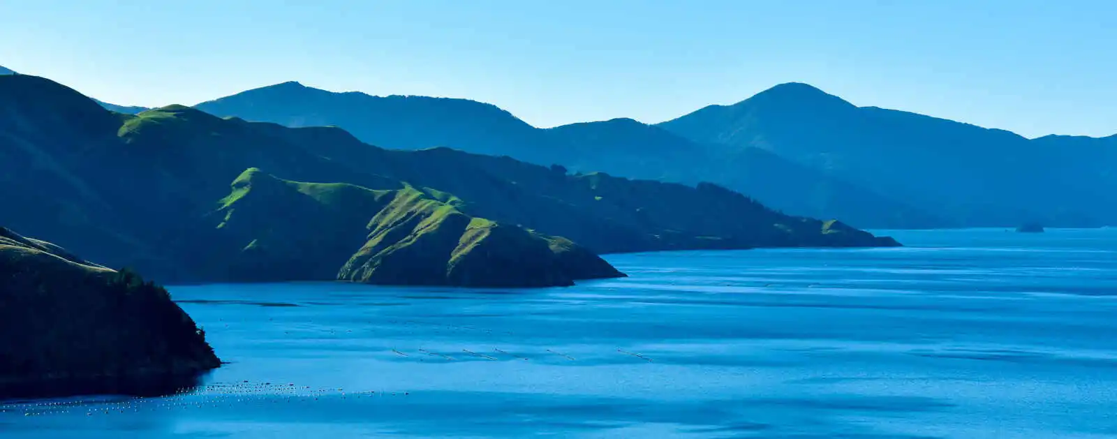 Baie Admiralty, Nouvelle-Zélande