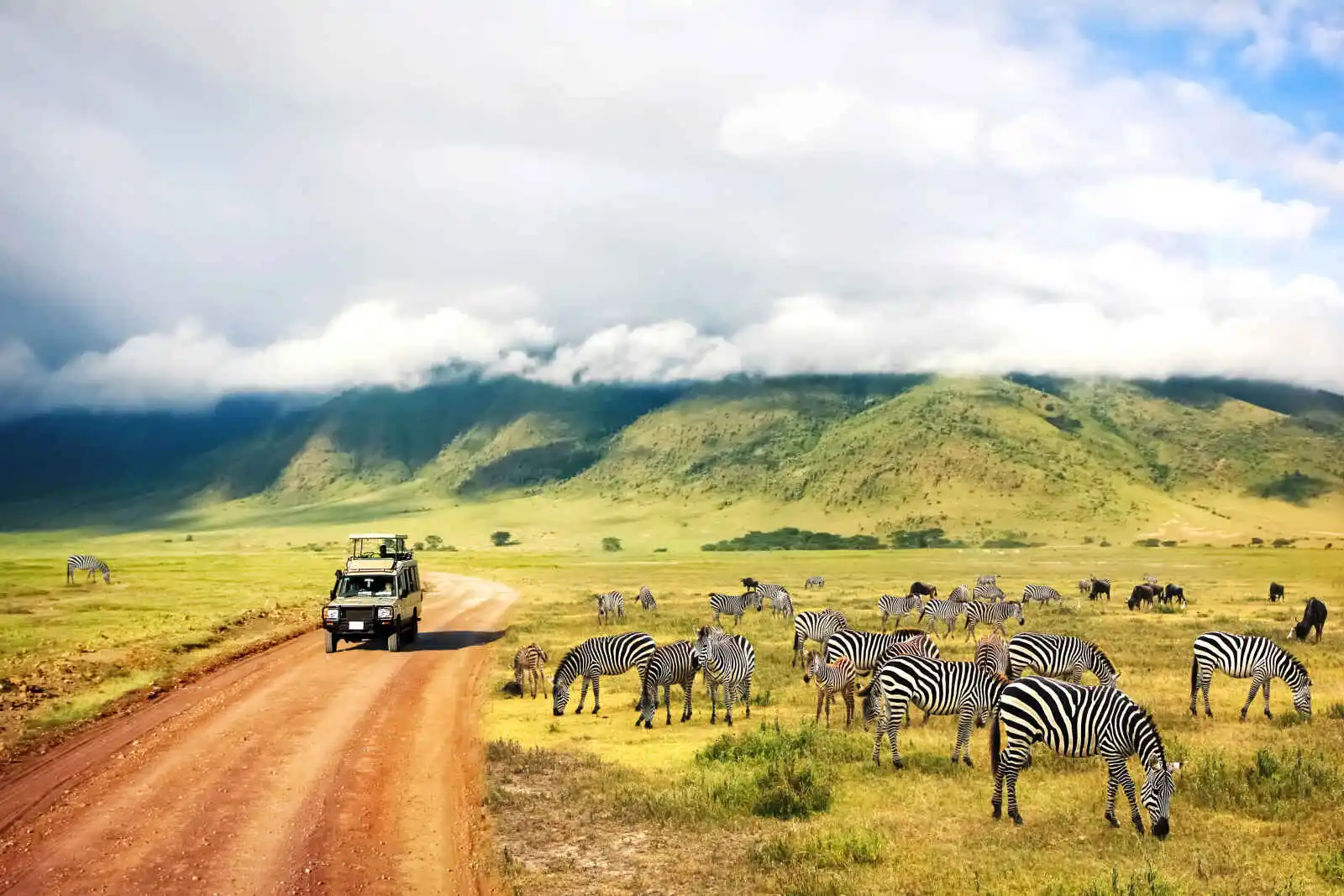 Safari en 4x4, réserve du N'gorongoro, Tanzanie