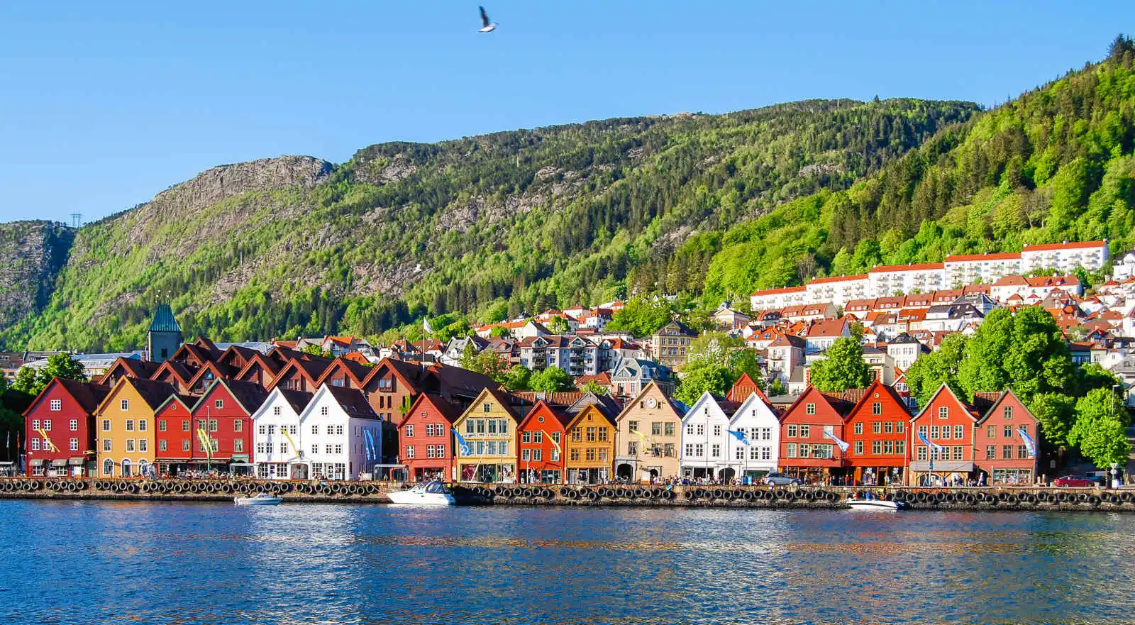 Norvège - Circuit Fjords et Cap Nord