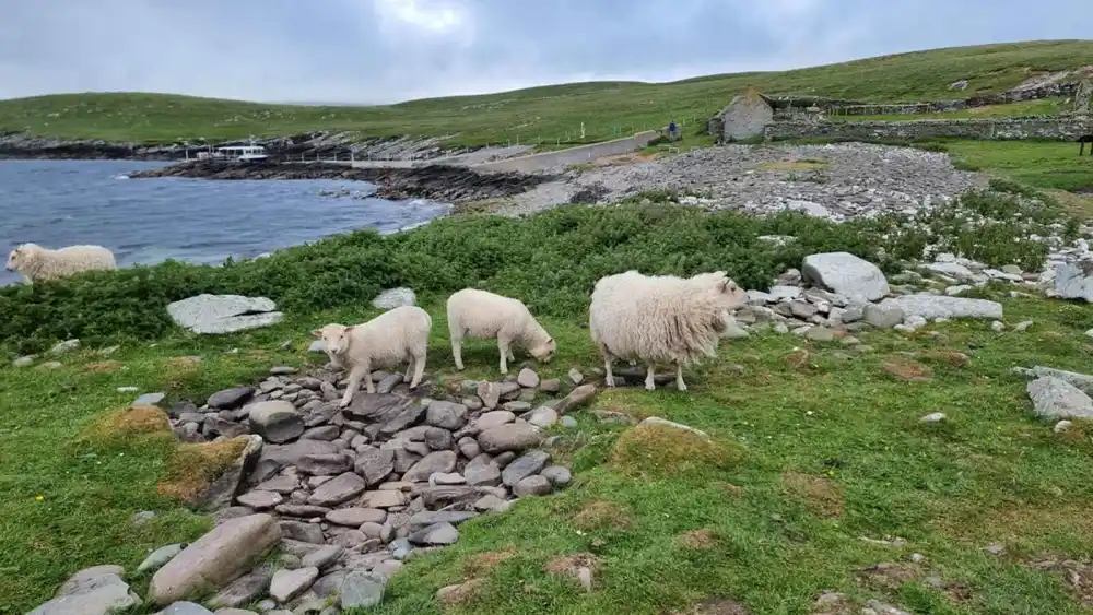 Kirkwall, ïles Orkney, Ecosse