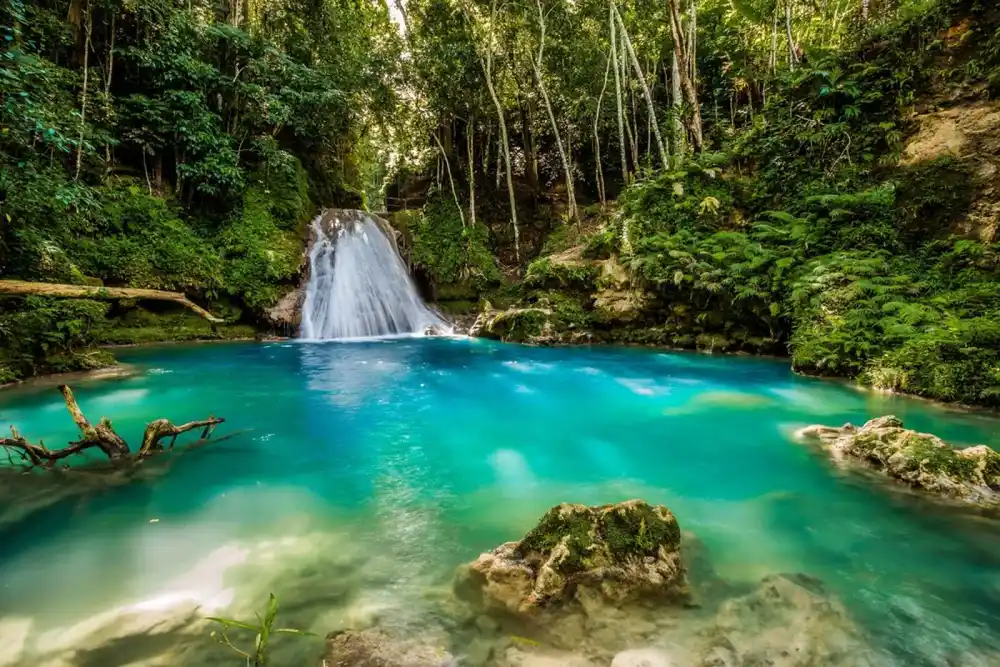 Cascade dans une forêt tropicale, Ochos Rios, Jamaïque