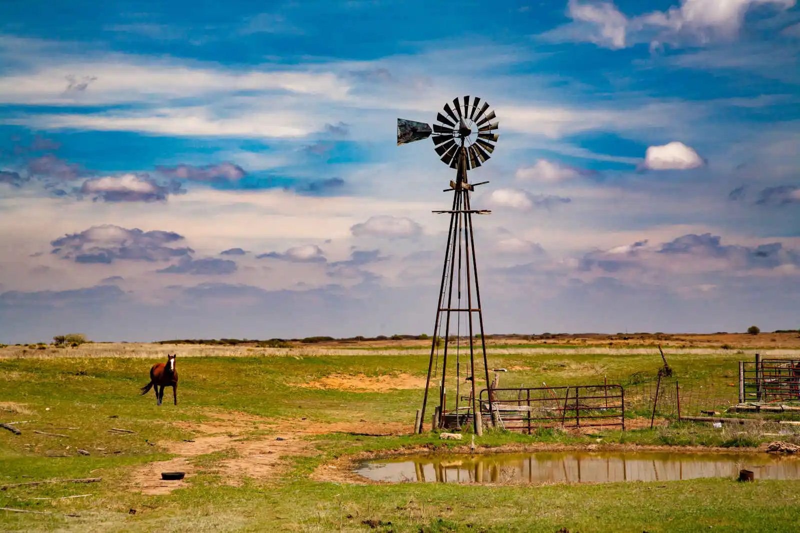 Cheval et moulin à vent dans la région d'Oklahoma, États-Unis