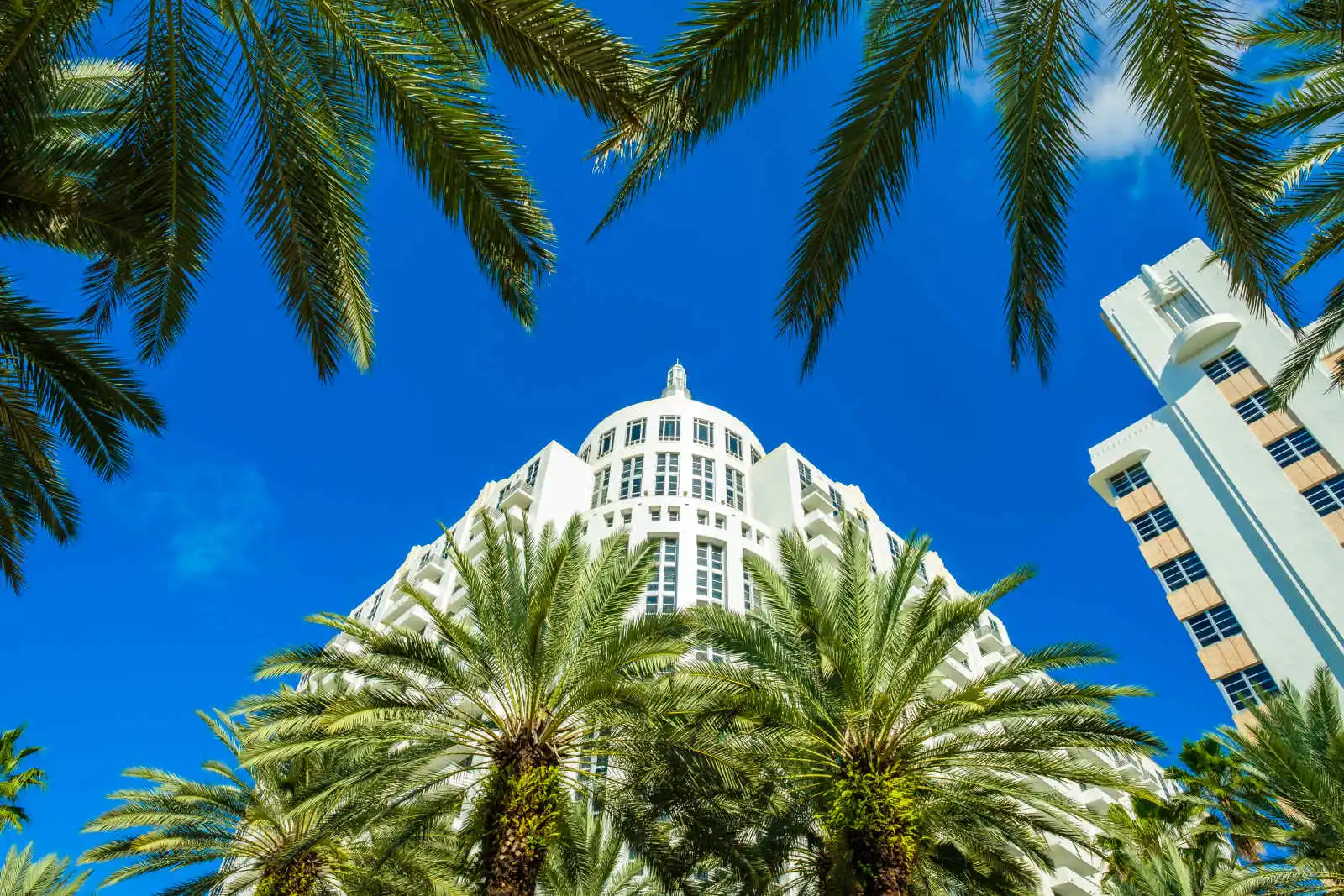 Palmiers et bâtiments Art déco sur Ocean Drive, Miami Beach, Floride, Etats-Unis