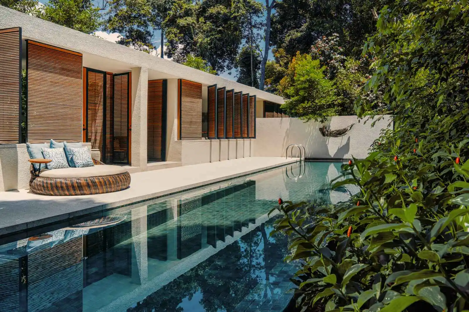 Image Grandes suites Rainforest