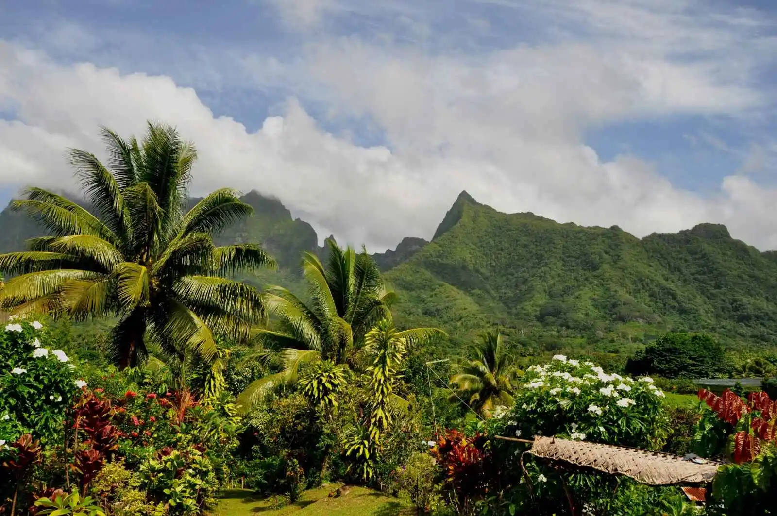 Île de Raiatea, Polynésie Française