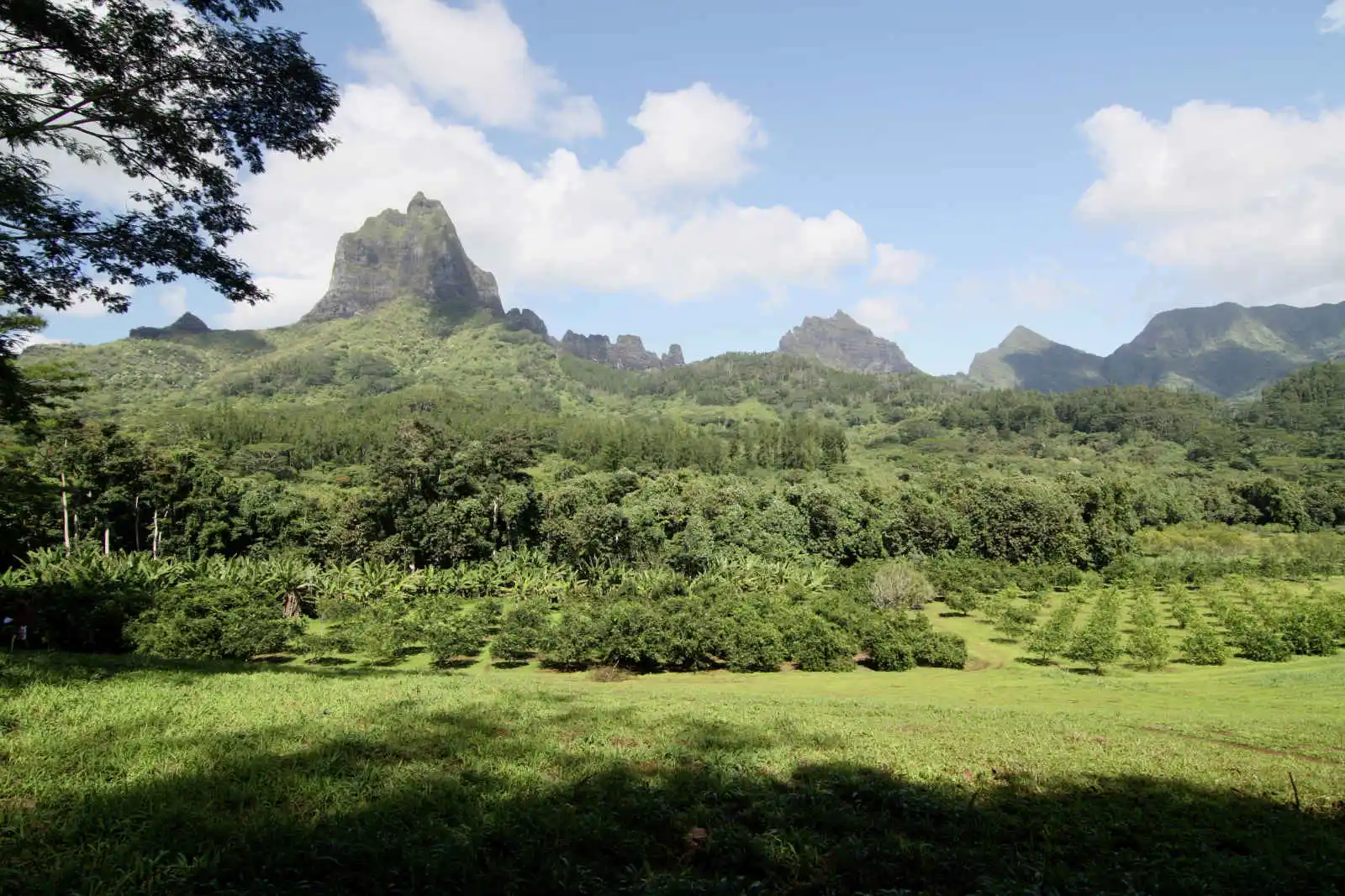 Végétation et montagnes, Moorea, Polynésie Française