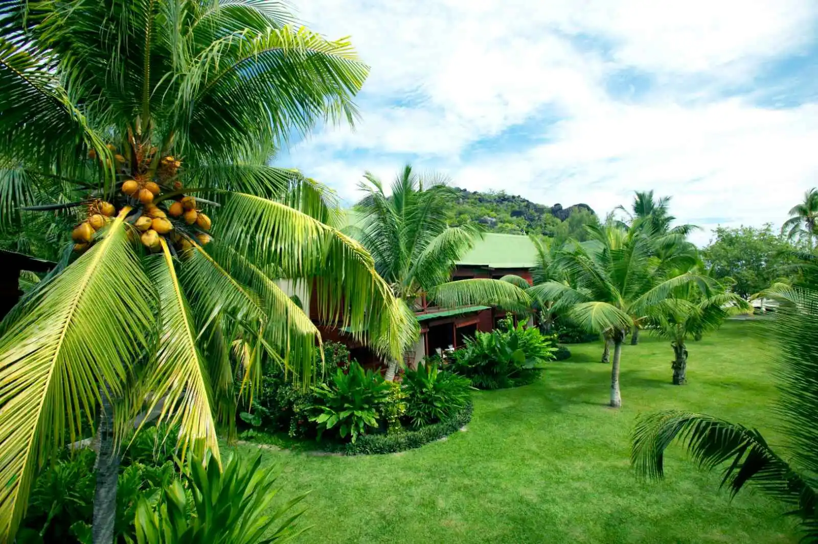Seychelles - Hôtel Paradise Sun 4*