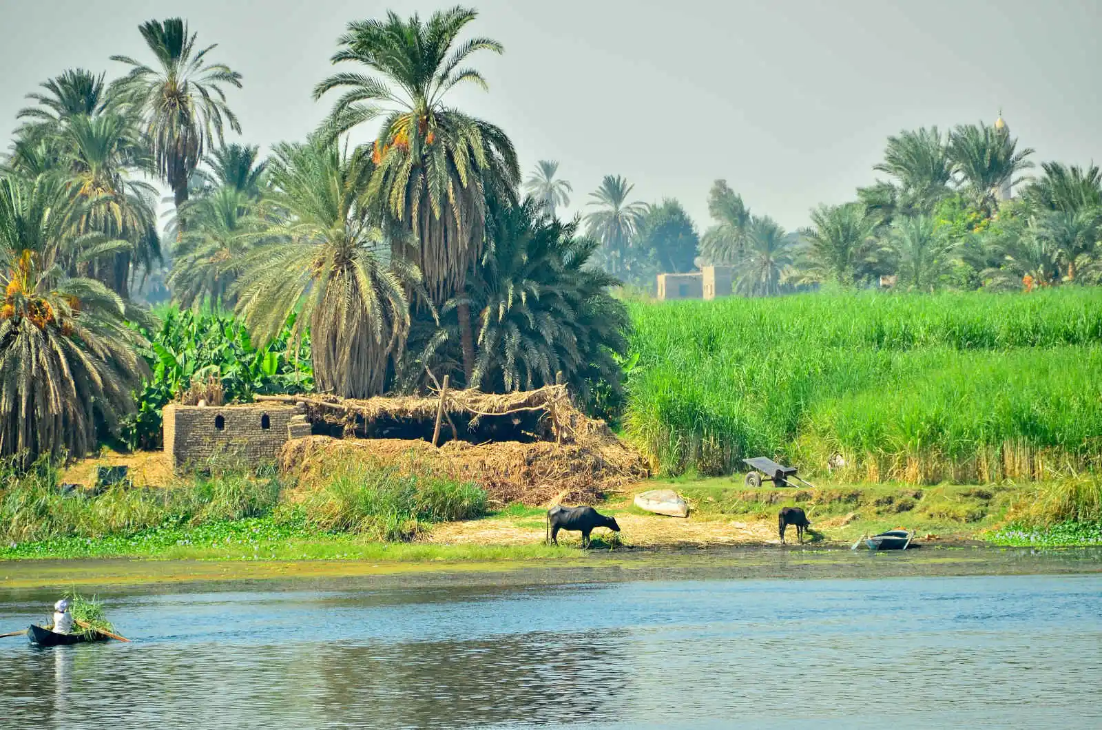 Egypte - Le Caire - Louxor et la vallée du Nil - Croisière Egypte Eternelle