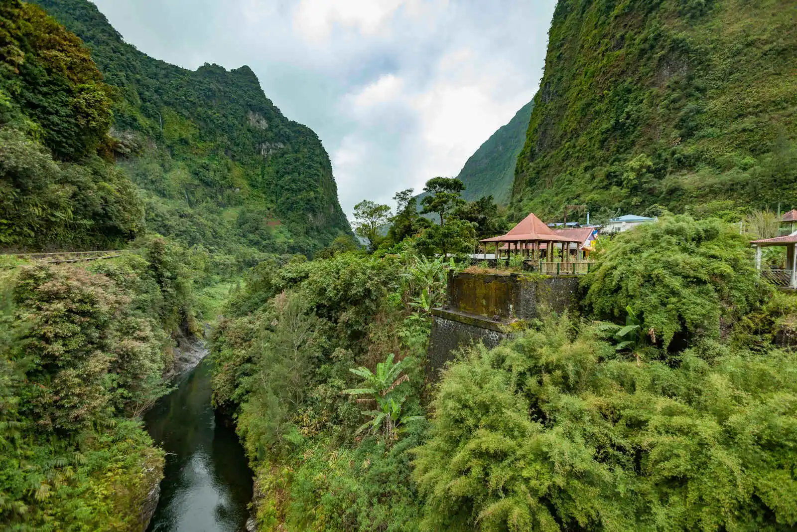 Forêt tropicale, La Réunion