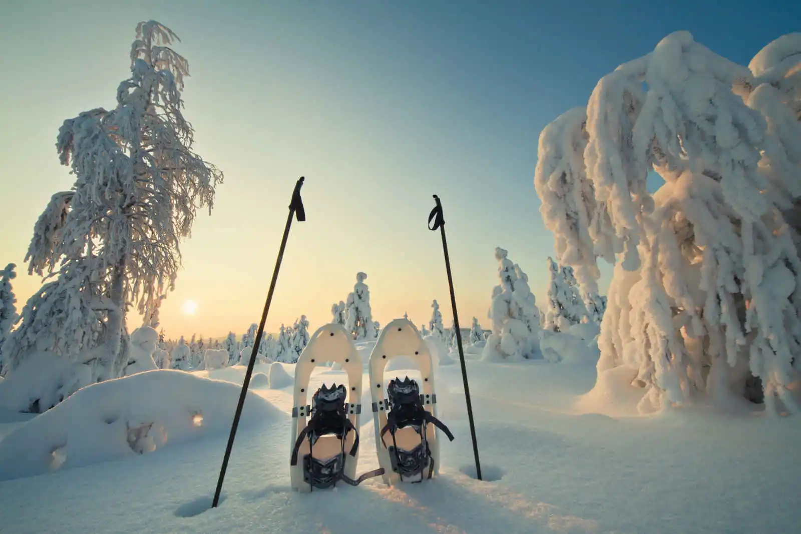 Finlande - Laponie - Rovaniemi - Santa's Hotel Santa Claus