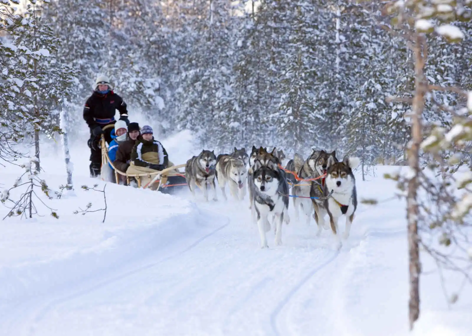 Finlande - Laponie - Rovaniemi - Santa's Hotel Santa Claus