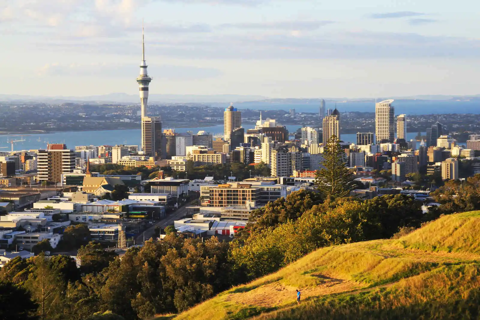 Vue sur Auckland depuis le mont Eden, Île du Nord, Nouvelle-Zélande