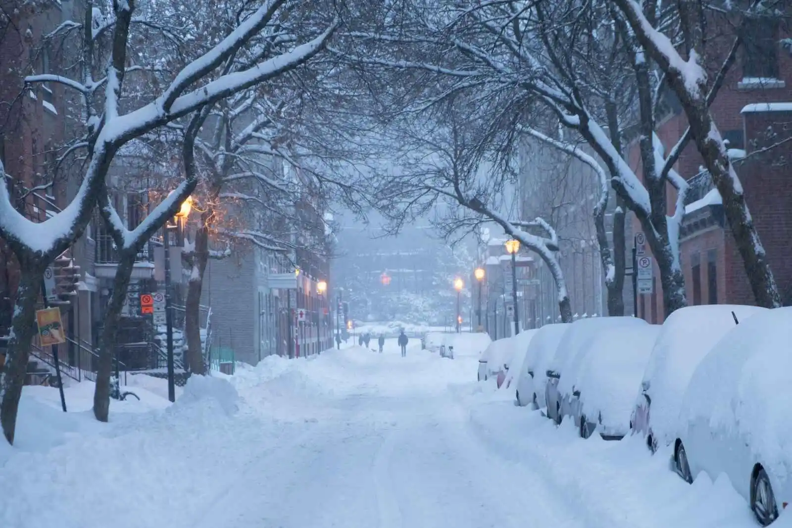 Neige recouvrant les voitures, Montréal, Québec
