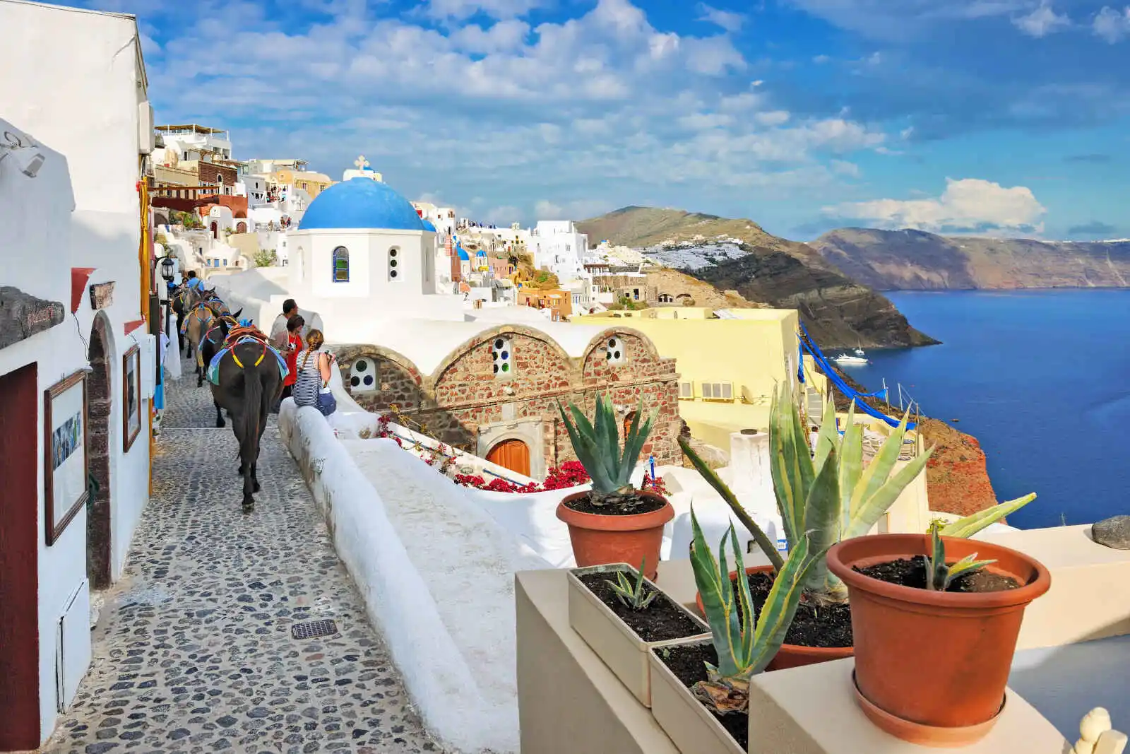 Anes escaladant une ruelle étroite à Oia, Santorin, Cyclades, Grèce