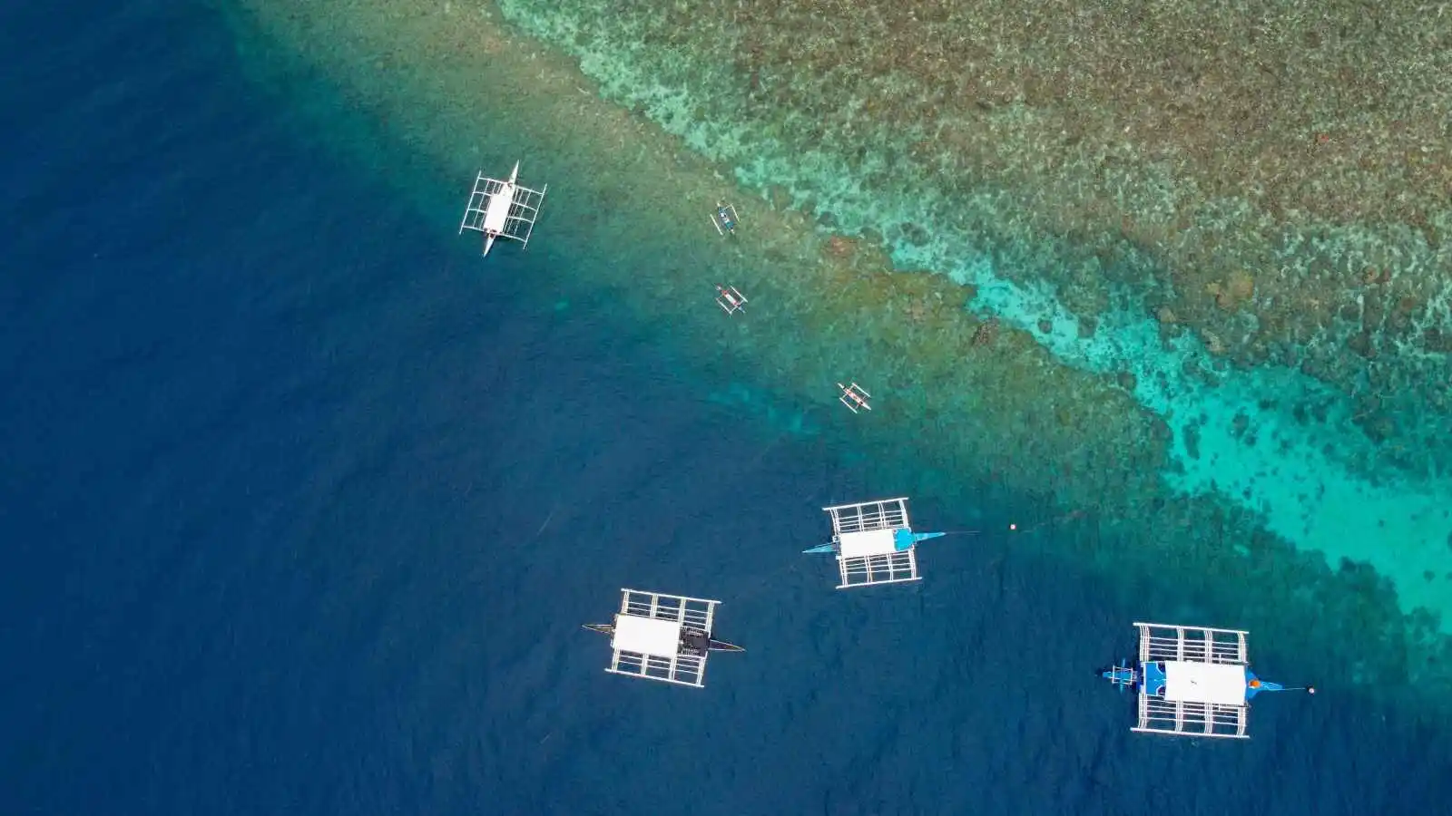 Île de Balicasag, Philippines