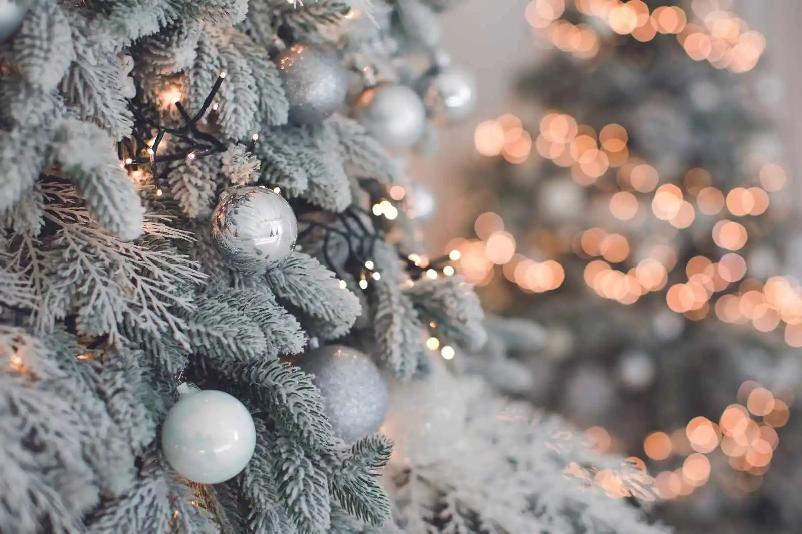 Ounasvaara Chalets - AVANT-FÊTES DEP 20.12