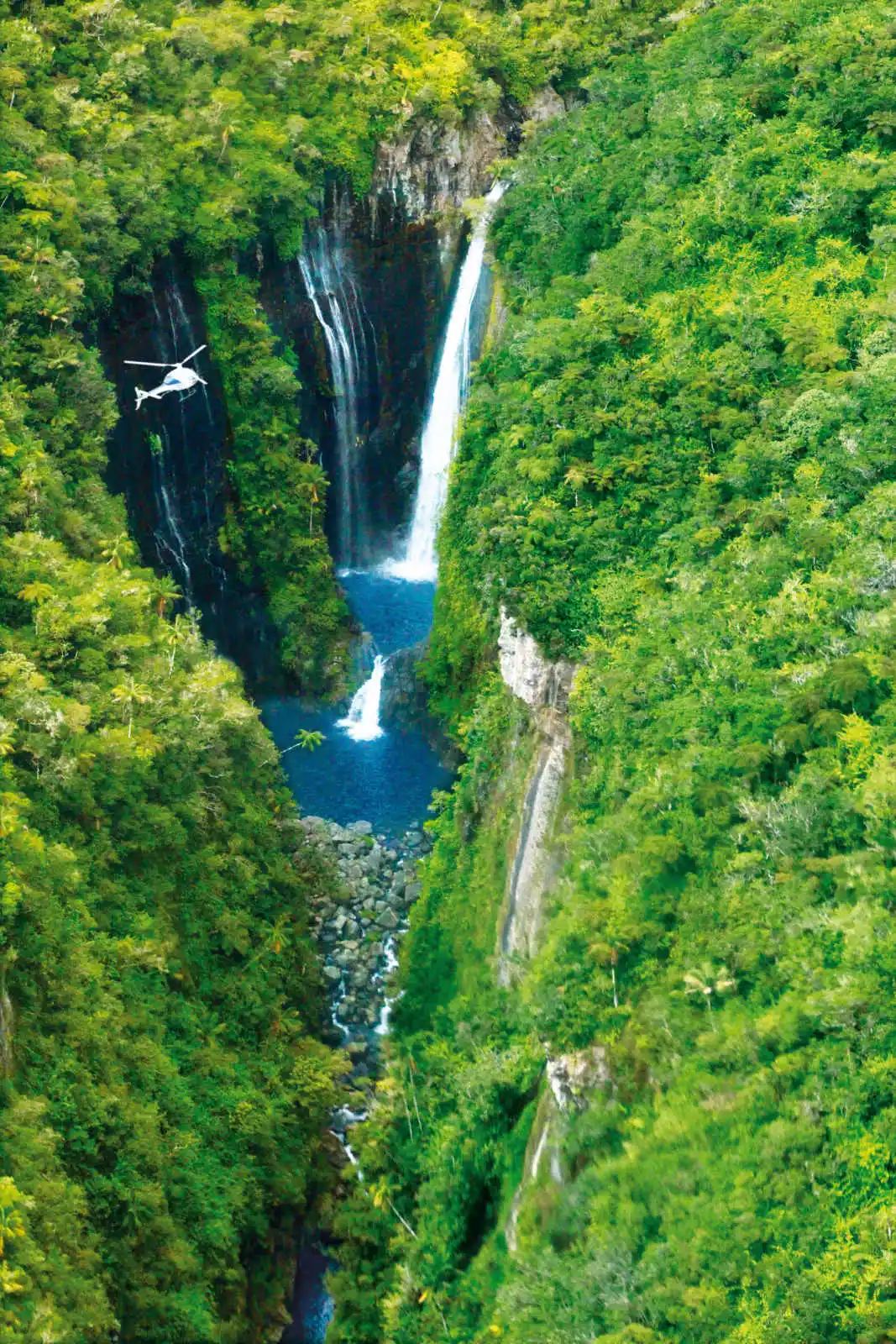 Réunion - Autotour A l'Ombre des Tamarins