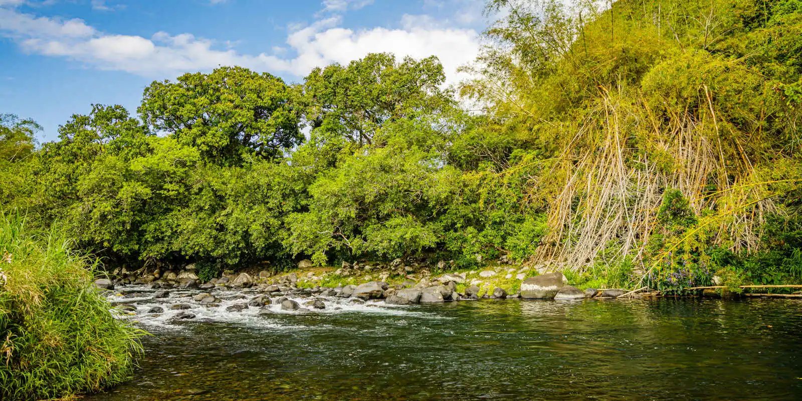Rivière des Marsouins, Île de la Réunion