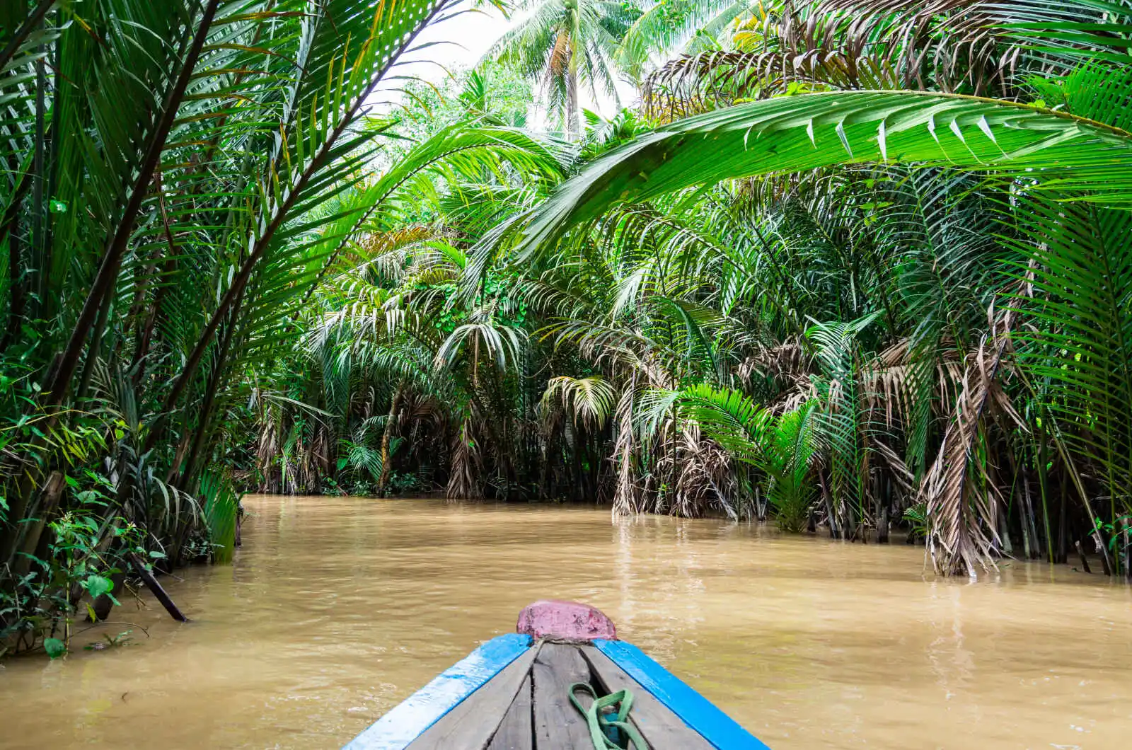 Samban (embarcation traditionnelle) sur le Mékong, province de Ben Tre