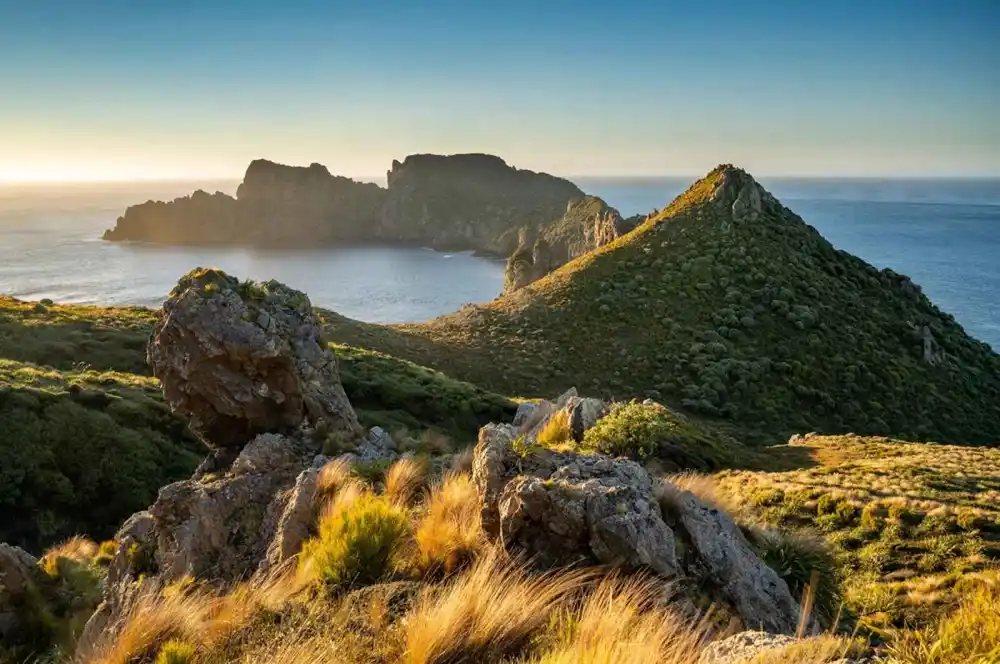 Rochers, île Stewart, Nouvelle-Zélande