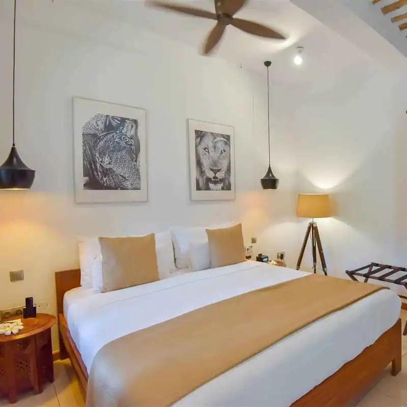 Image Chambre famille Cinnamon