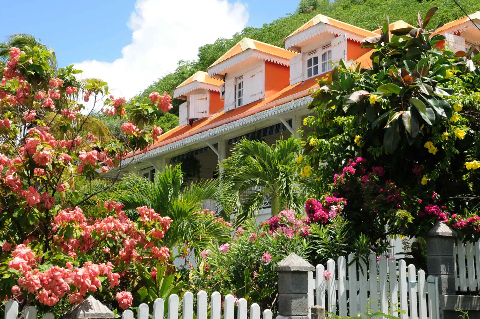 Maison dans un jardin tropical, Les Saintes, Guadeloupe