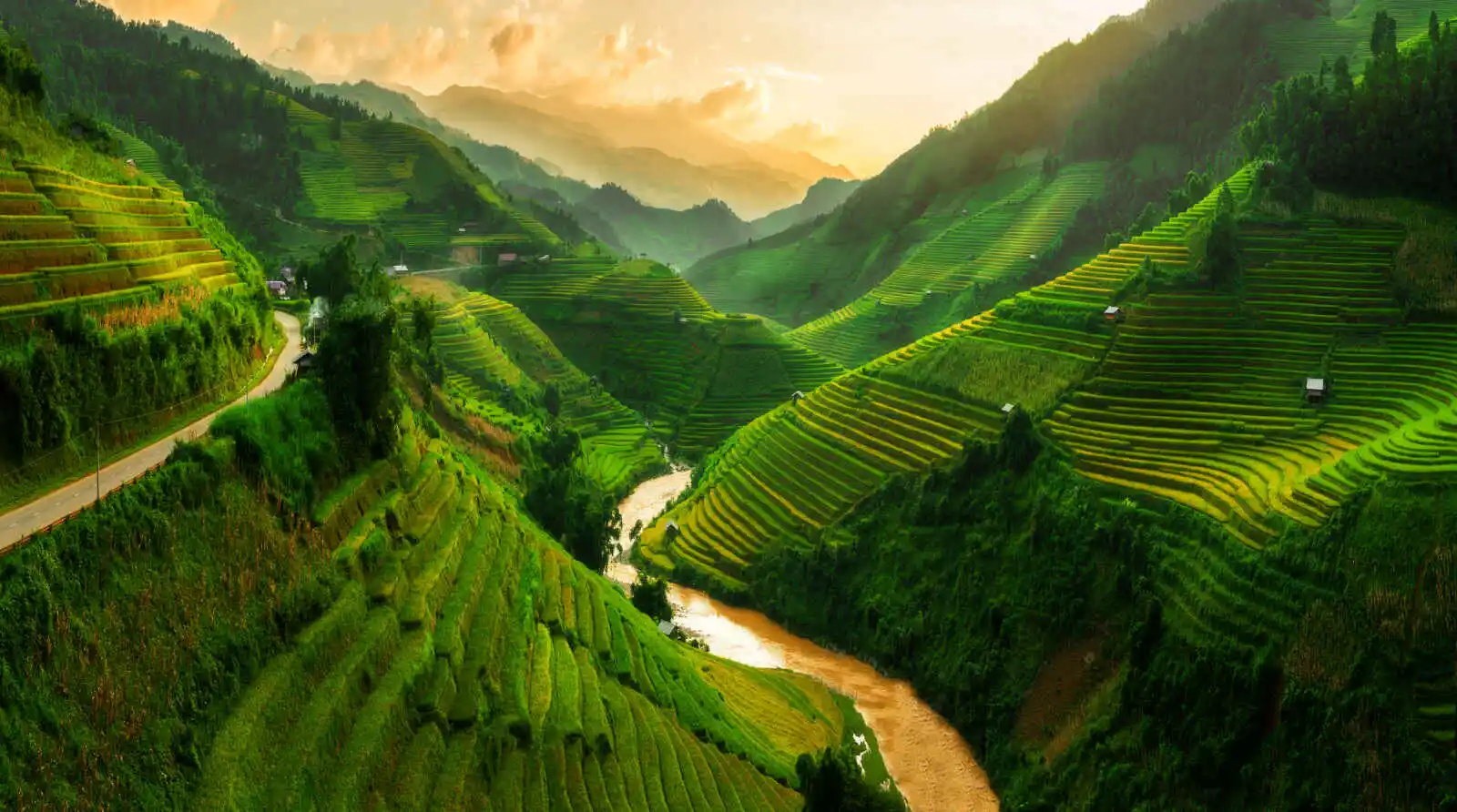 Rizières en terrasses, Sapa, Vietnam