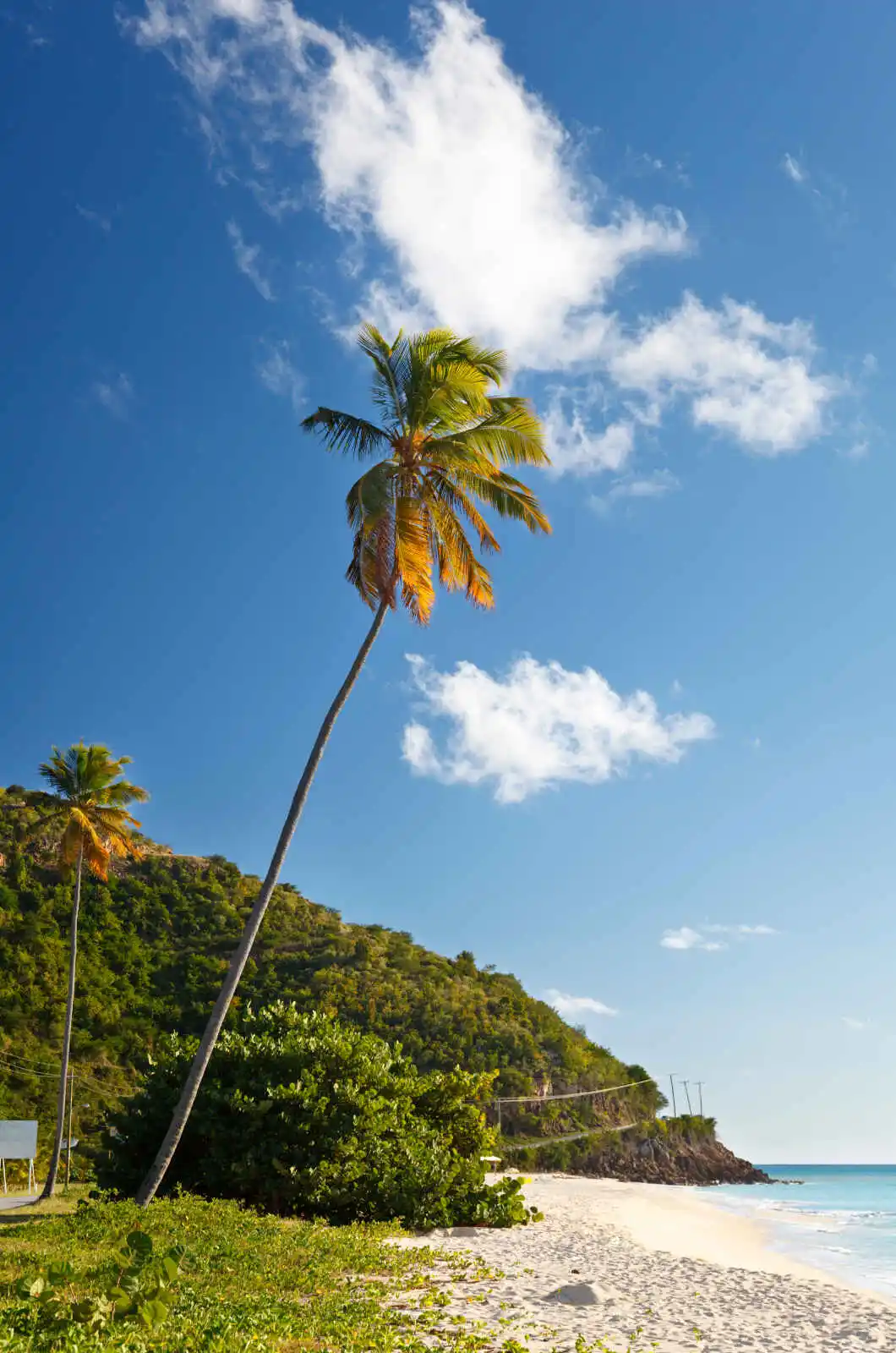 Plage, Antigua