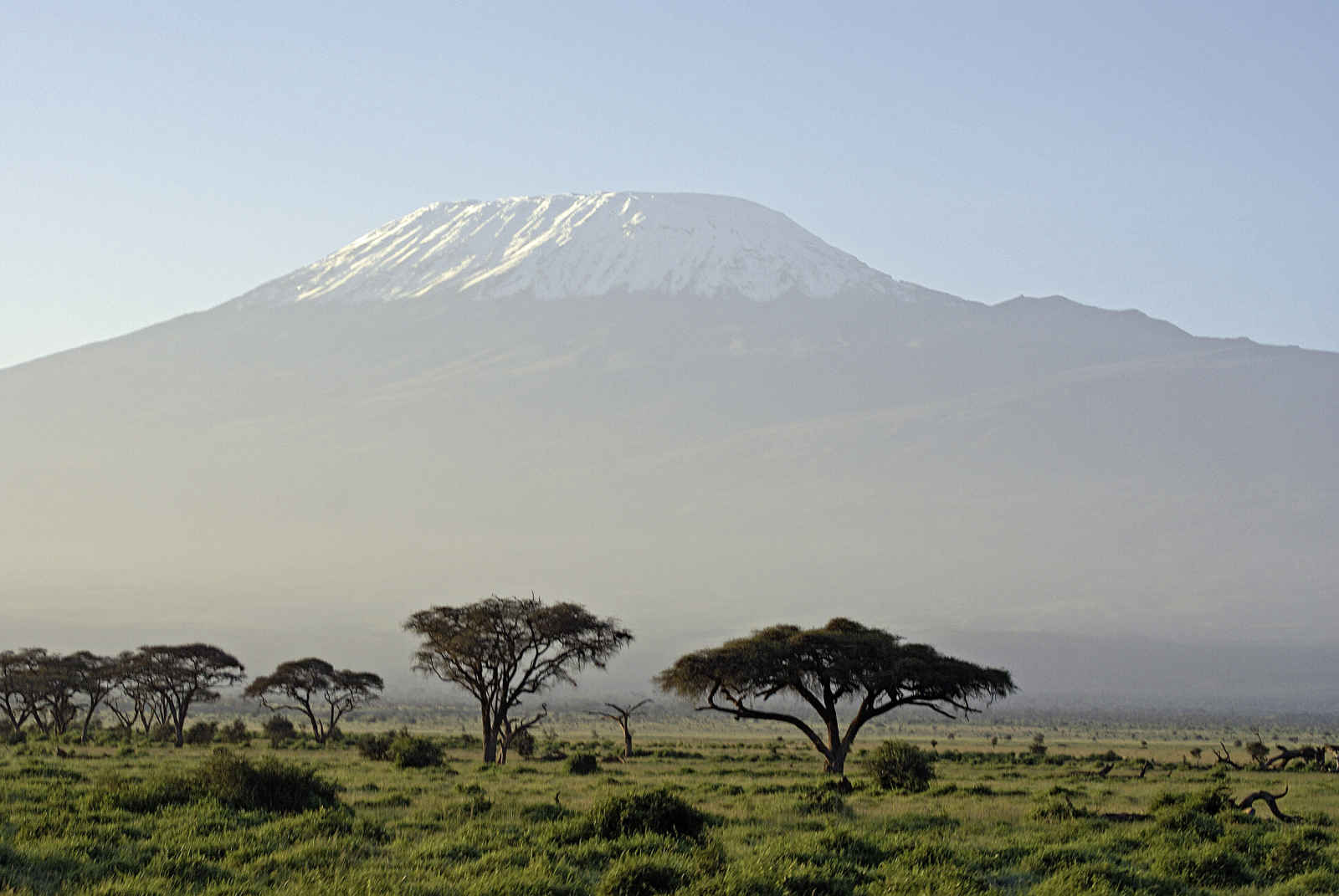 Souvenirs du Kilimandjaro en privé
