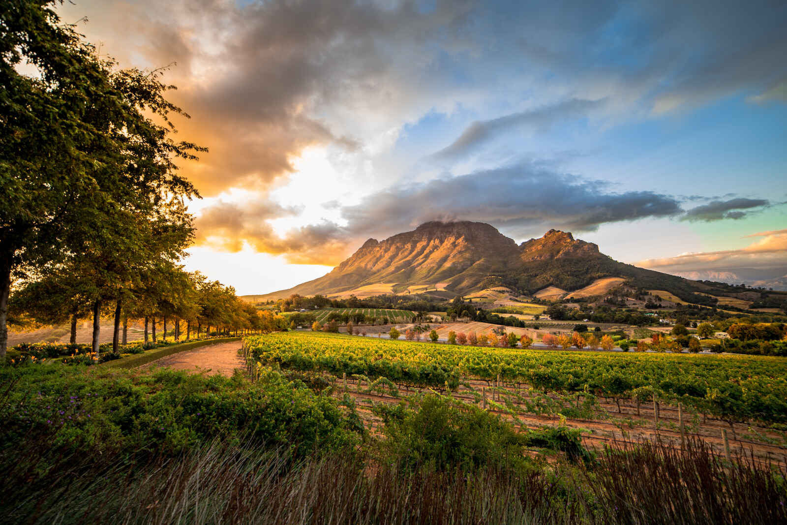 Région du vin, Stellenbosch, Afrique du Sud