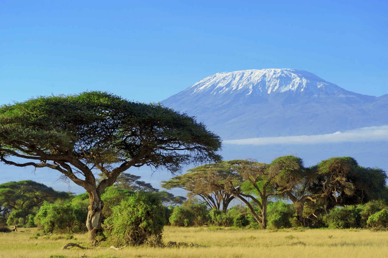 Souvenirs du Kilimandjaro
