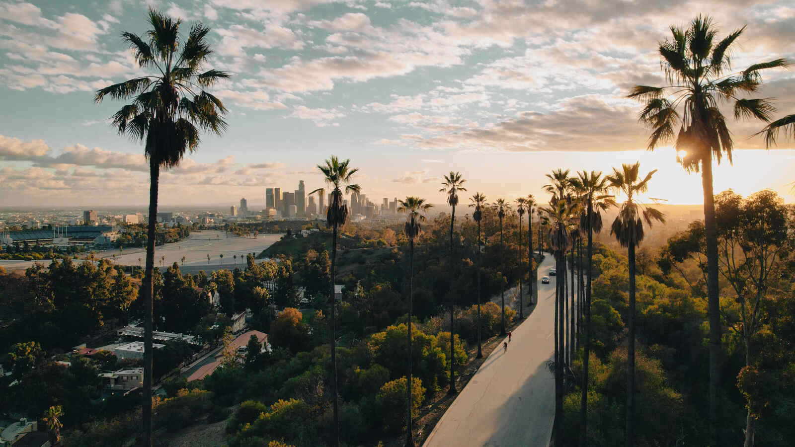 Rue bordée de palmiers, Los Angeles, Californie, États-Unis