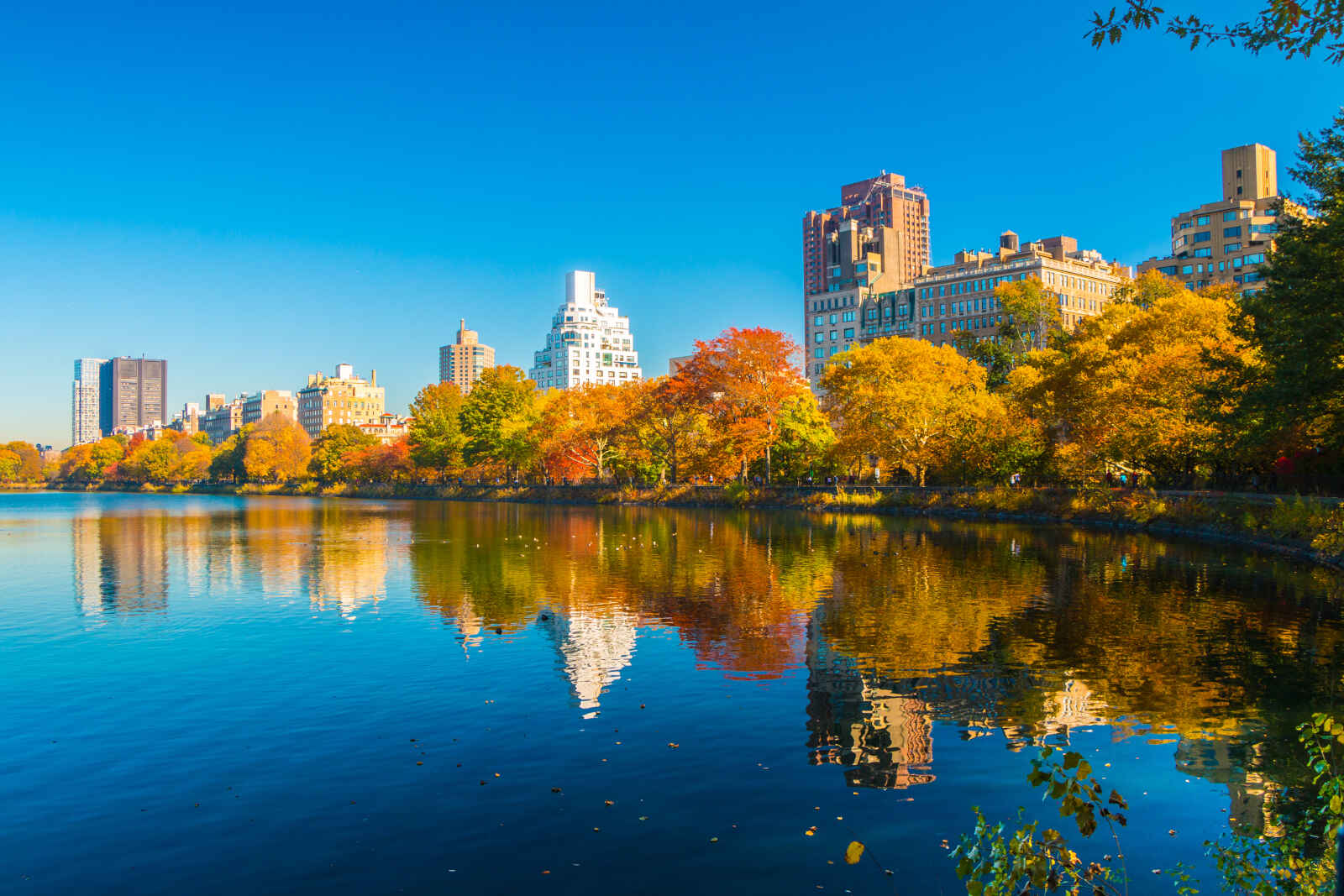 Central Park lake, New York, Etats-Unis