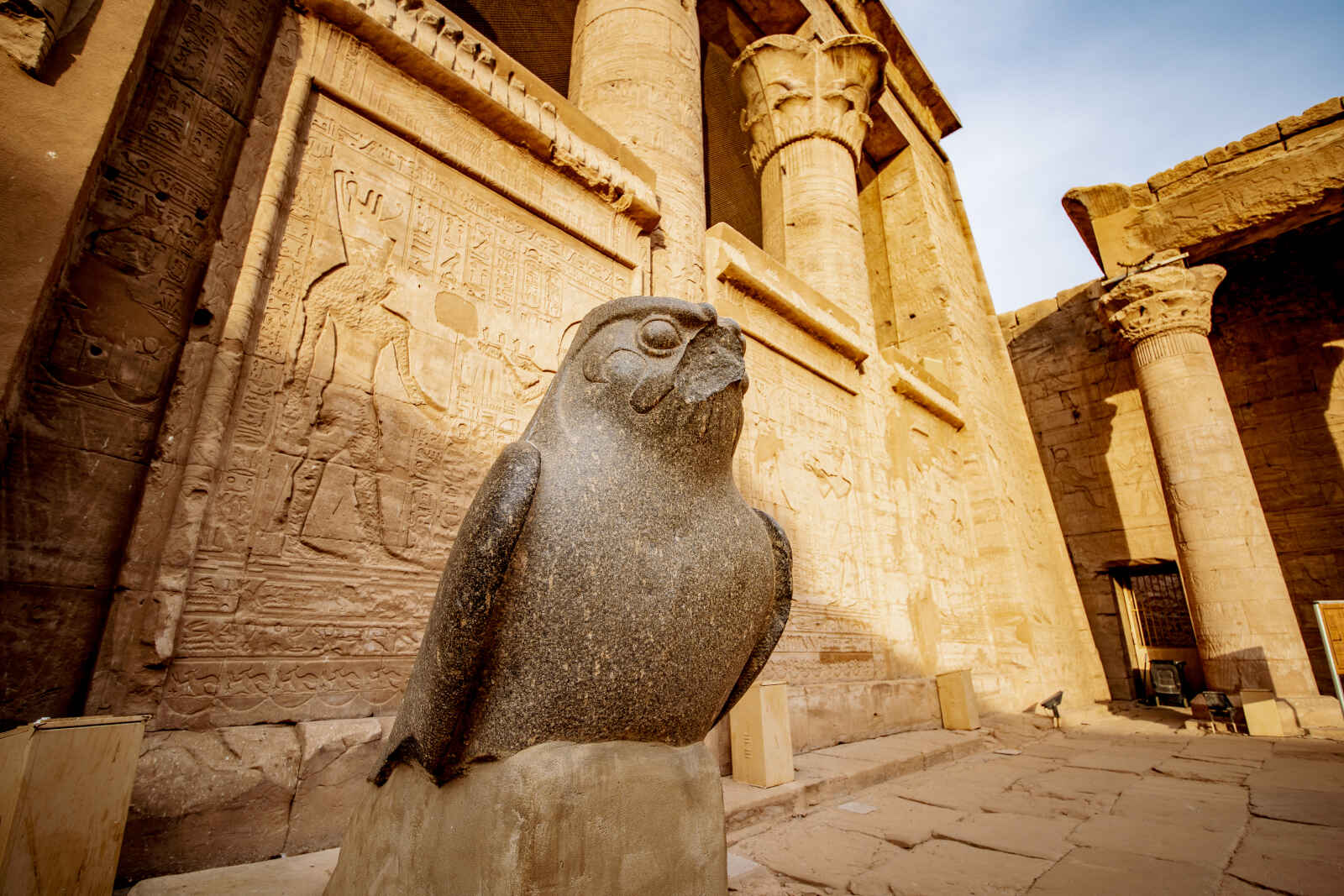 Statue du dieu faucon Horus, Temple d'Edfou, Égypte
