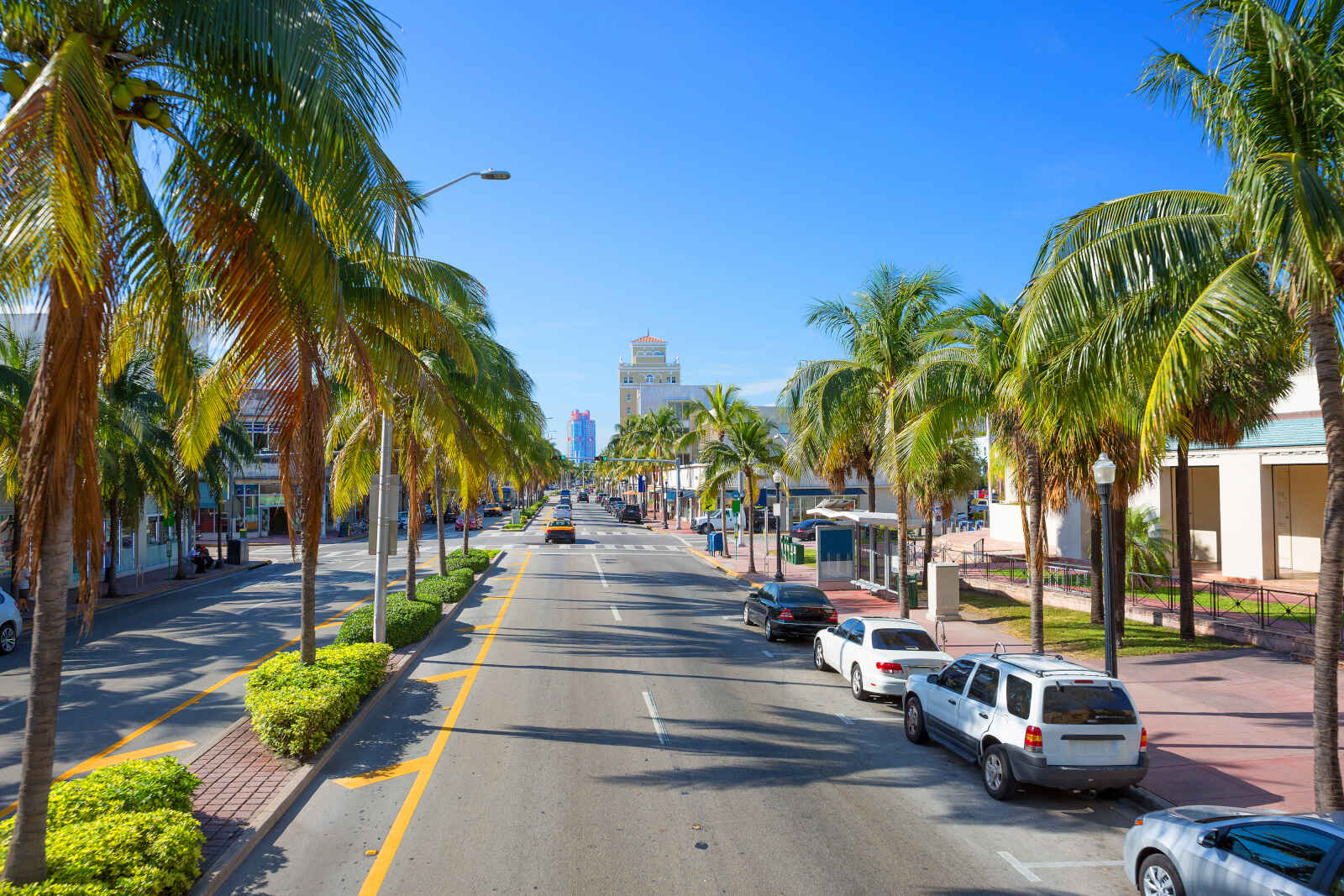 Route bordée de parlmiers, Miami, Floride, États-Unis