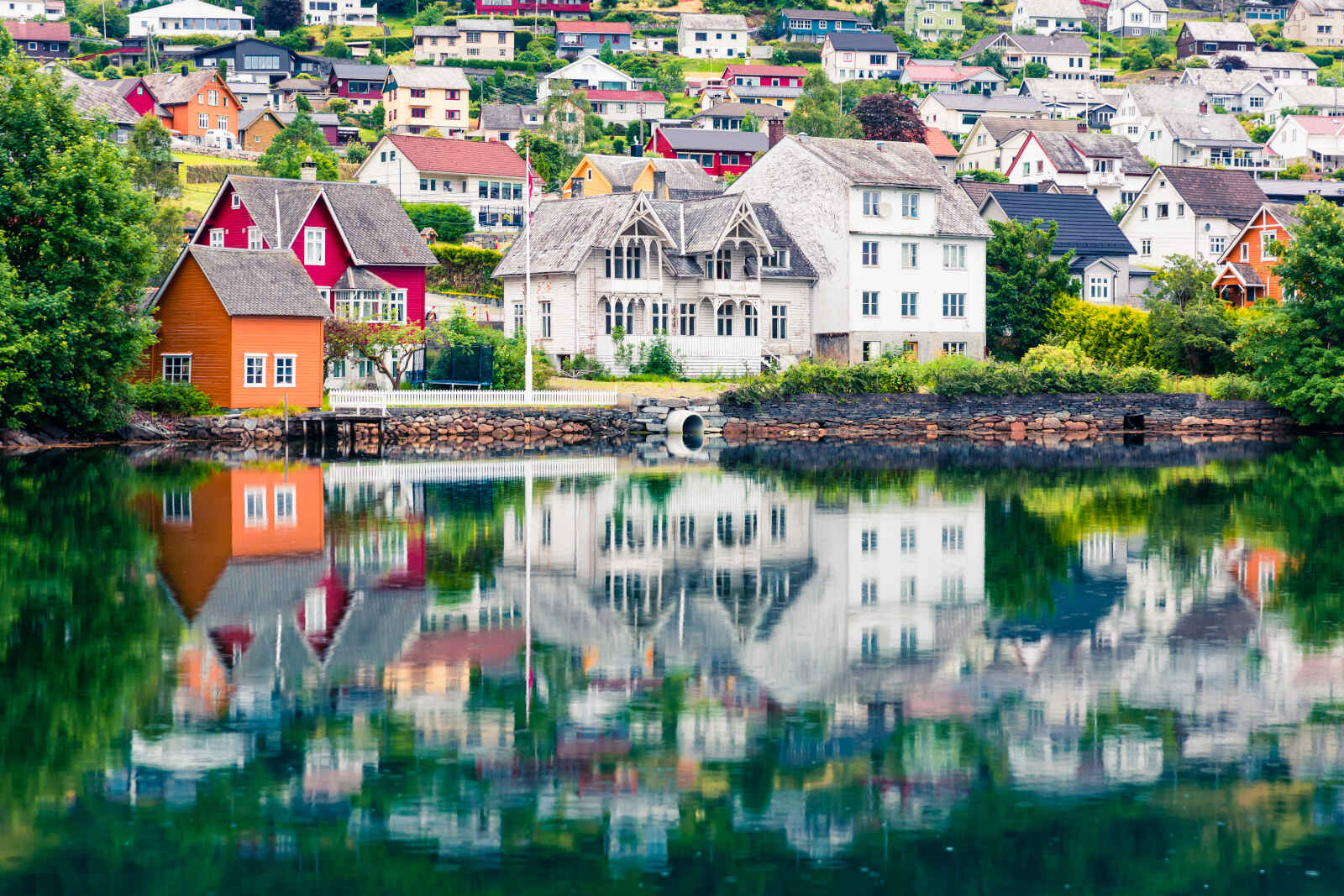 Concentré de Norvège