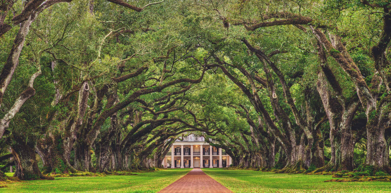 Plantation Oak Alley, Louisiane, États-Unis