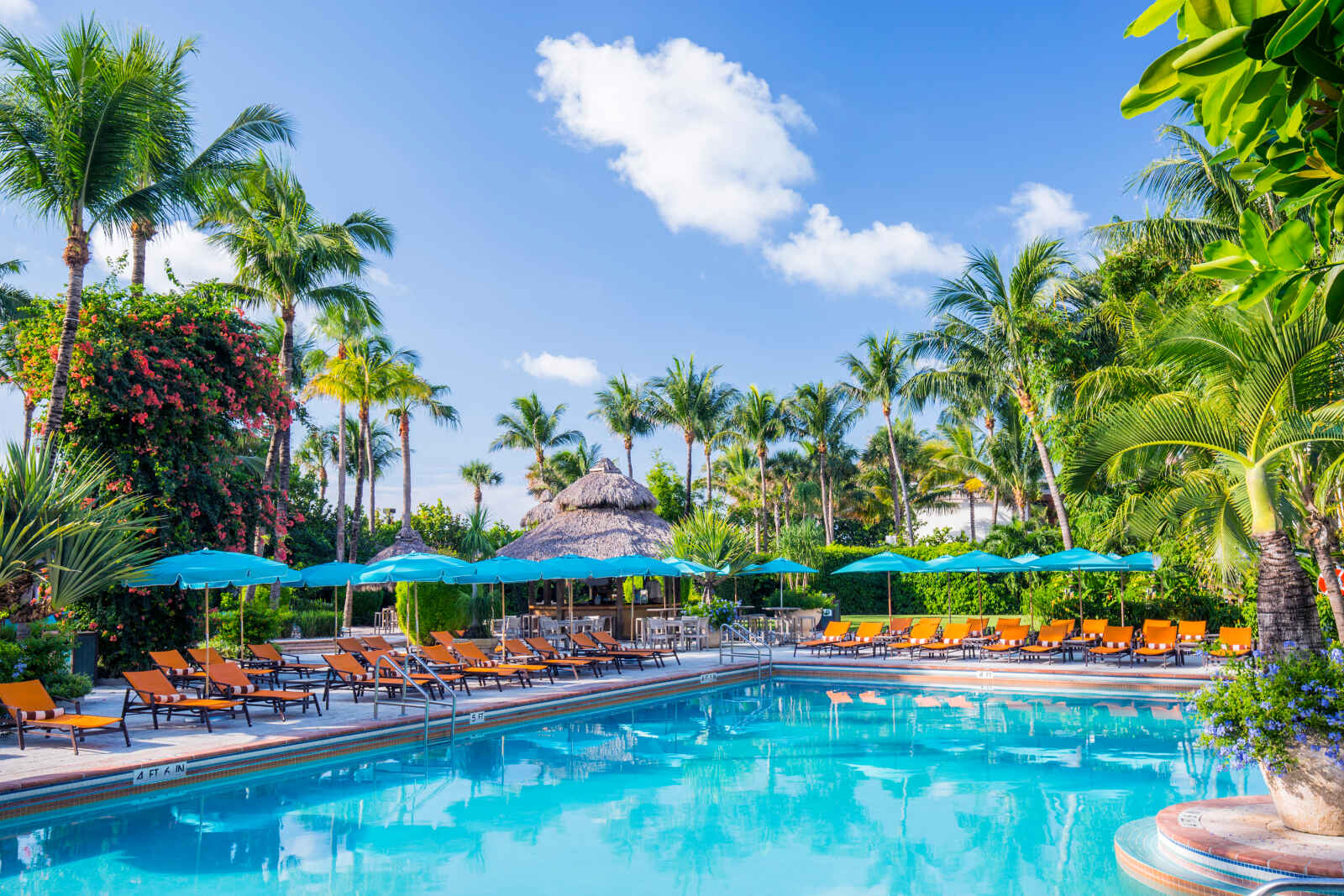 Etats-Unis - Sud des Etats-Unis - Floride - Miami - The Palms Hôtel & Spa